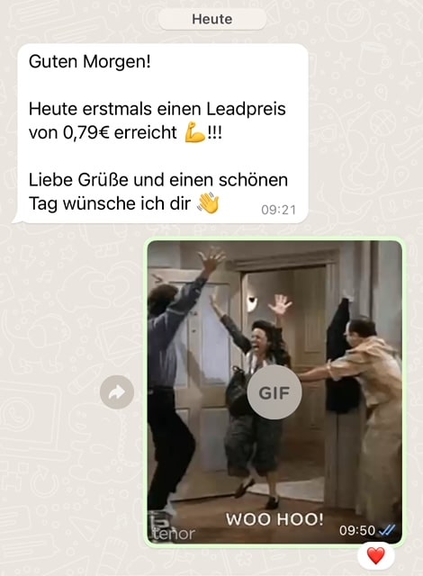 Echte Werbeanzeigen-Kennzahlen aus einer Kampagne